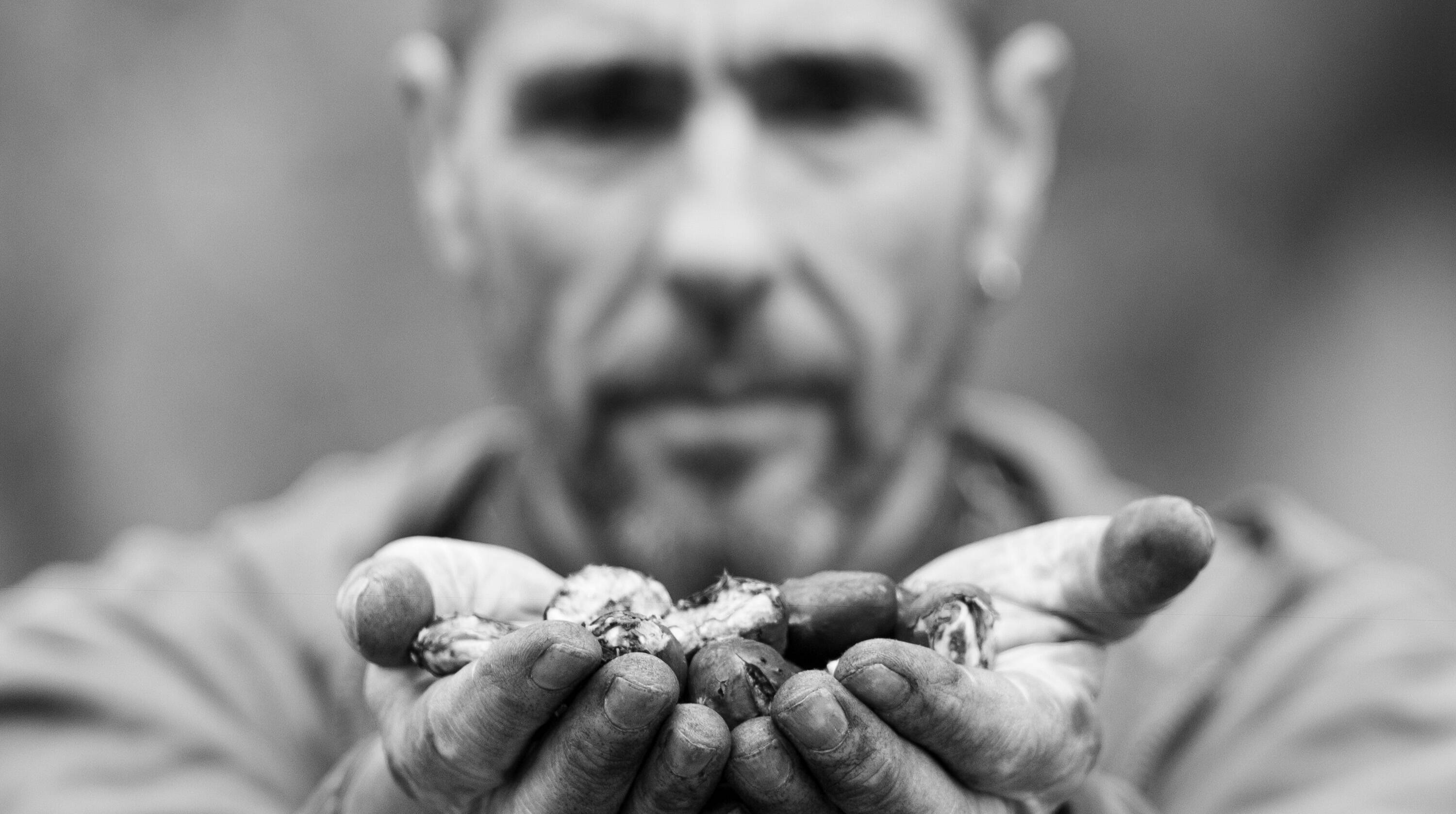 21° Festival della Castagna