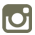 icon instagram