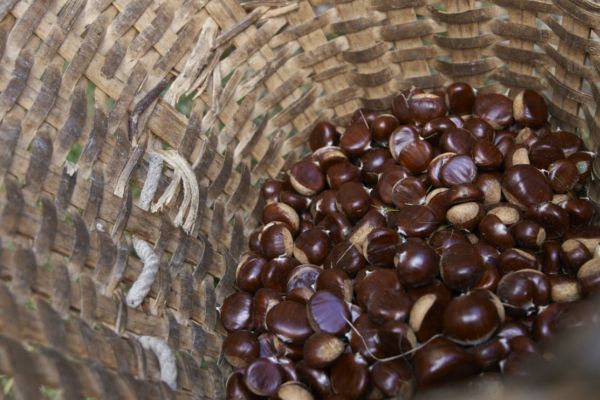 Vegetarischer Maronenbraten