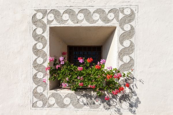 Führungen auf Anfrage